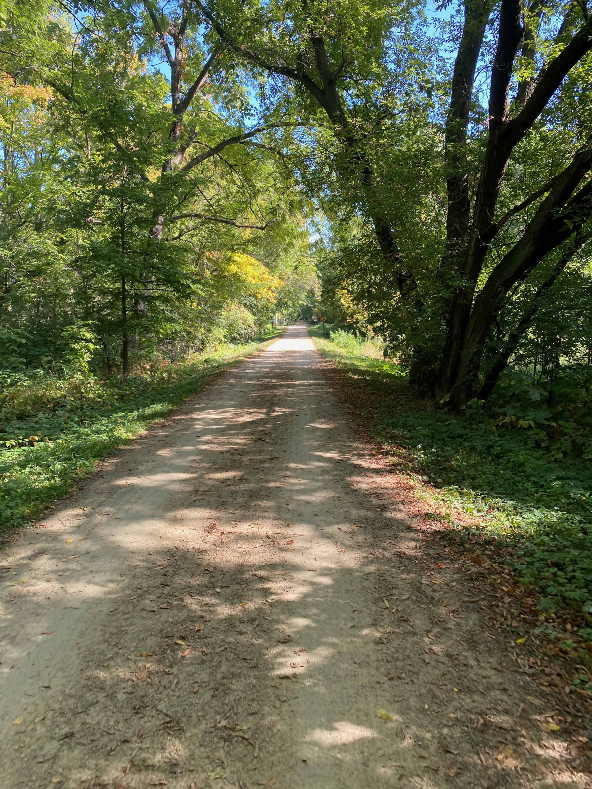 A wooded trail curving into the distance, dappled with sunlight